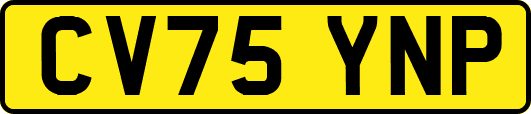 CV75YNP