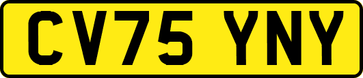 CV75YNY