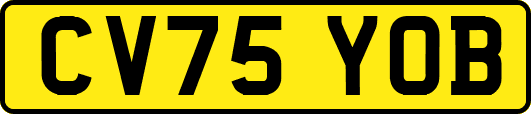 CV75YOB