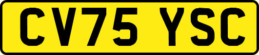 CV75YSC