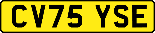 CV75YSE