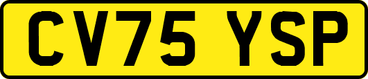 CV75YSP