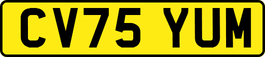 CV75YUM