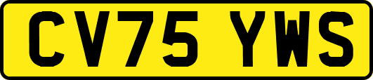 CV75YWS