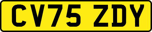 CV75ZDY