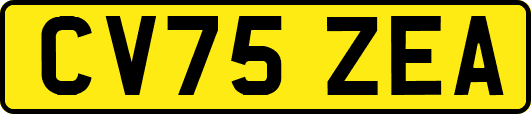 CV75ZEA