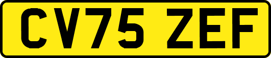 CV75ZEF