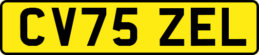 CV75ZEL