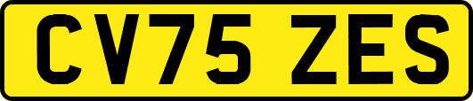 CV75ZES