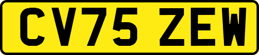 CV75ZEW