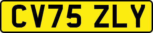 CV75ZLY