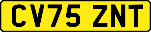 CV75ZNT