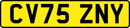 CV75ZNY