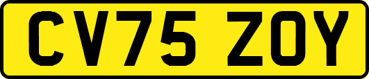 CV75ZOY
