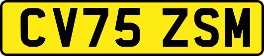 CV75ZSM