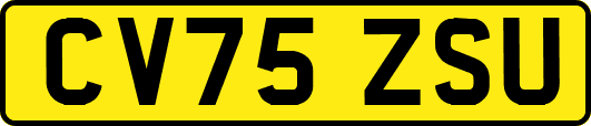 CV75ZSU