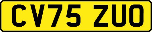 CV75ZUO