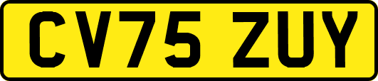 CV75ZUY