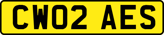 CW02AES