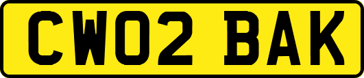 CW02BAK