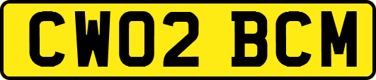 CW02BCM
