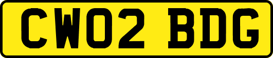 CW02BDG