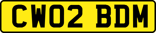 CW02BDM