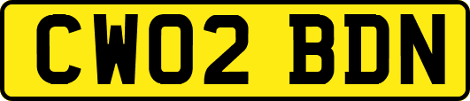 CW02BDN