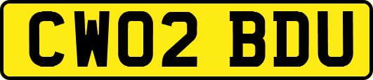 CW02BDU