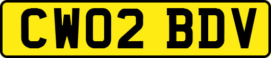 CW02BDV
