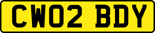 CW02BDY