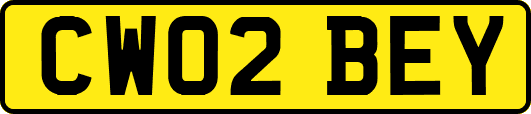 CW02BEY