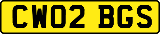 CW02BGS