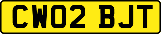 CW02BJT