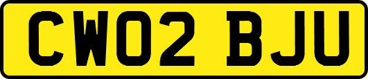 CW02BJU