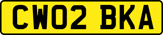 CW02BKA