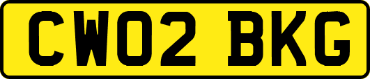CW02BKG
