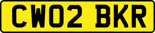 CW02BKR