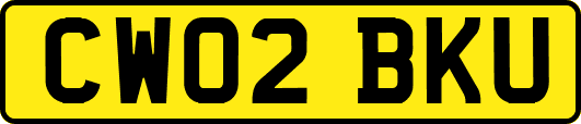 CW02BKU