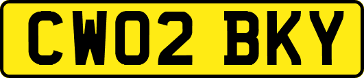 CW02BKY