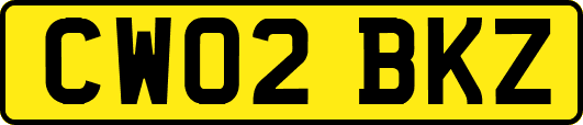 CW02BKZ