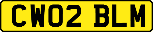 CW02BLM