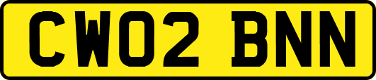 CW02BNN