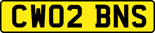 CW02BNS