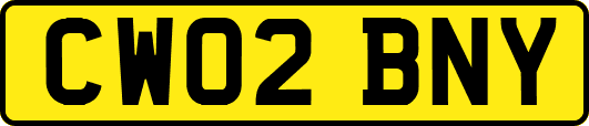 CW02BNY