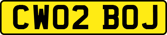 CW02BOJ