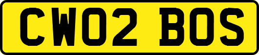 CW02BOS