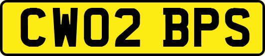 CW02BPS