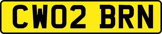 CW02BRN