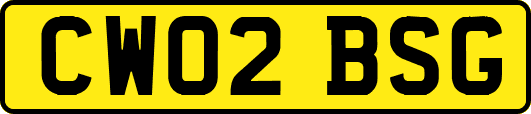 CW02BSG